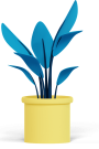 Plant-2-1.png